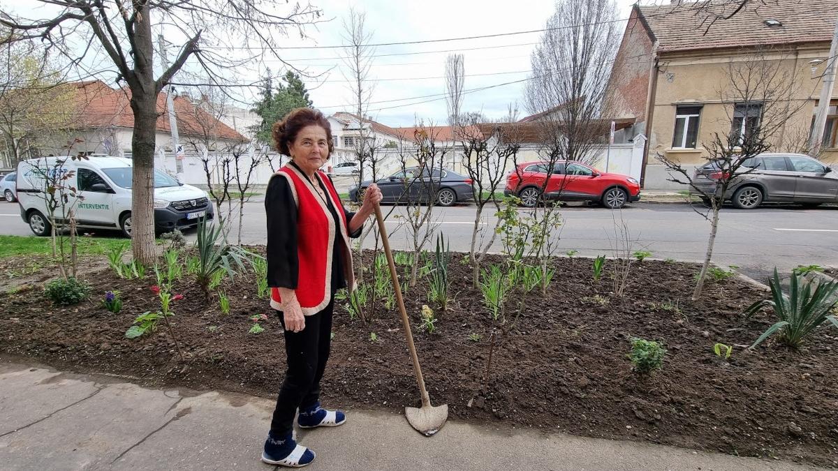 exemplu spirit civic 91 ani doina fosta invatatoare ingrijeste spatiu verde oradea
