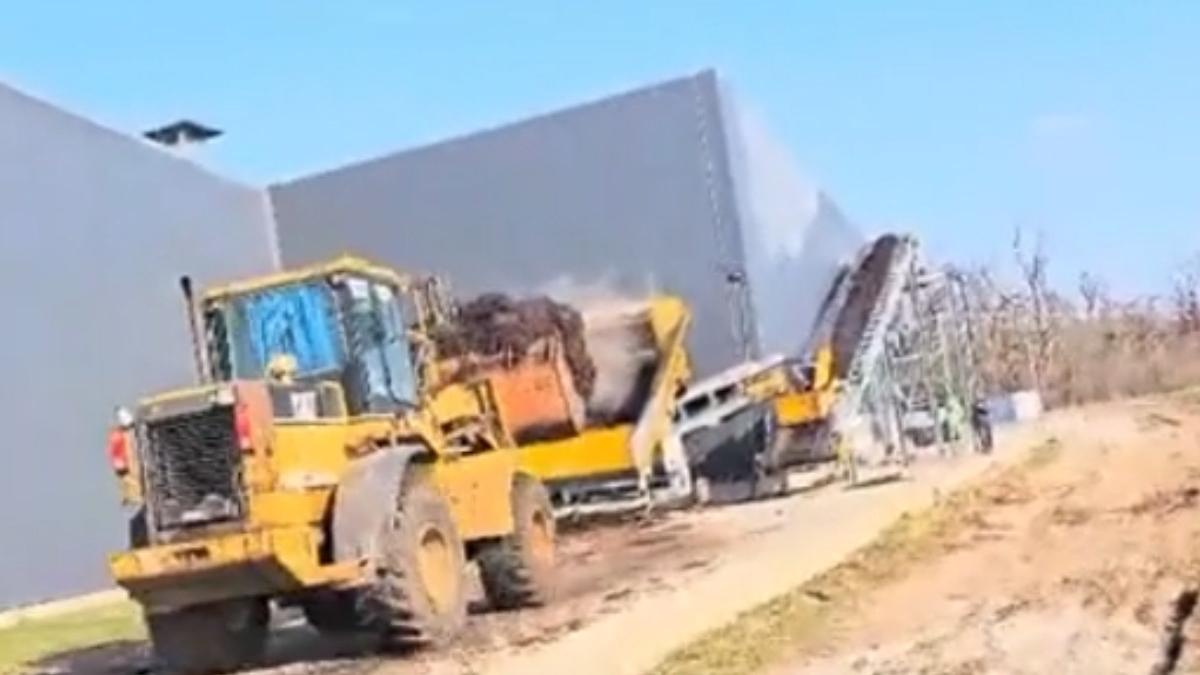 fabrica ciuperci unica in romania reintrodusa circuit economic