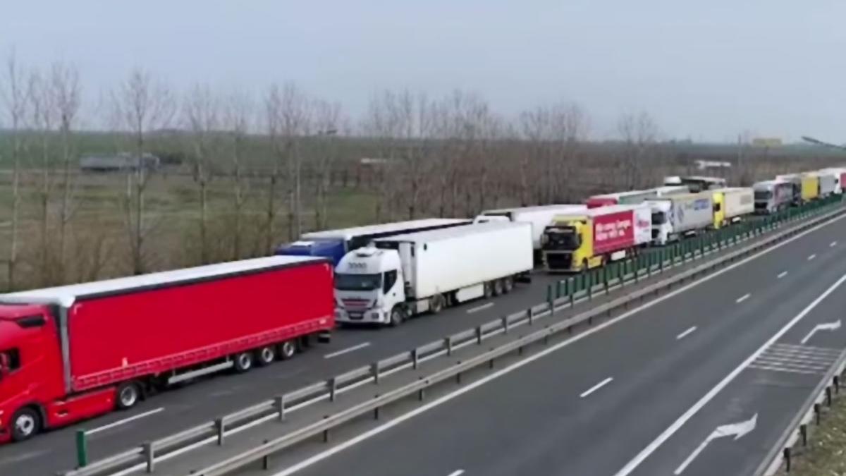 restrictii ungaria autotrenuri tiruri blocate vama