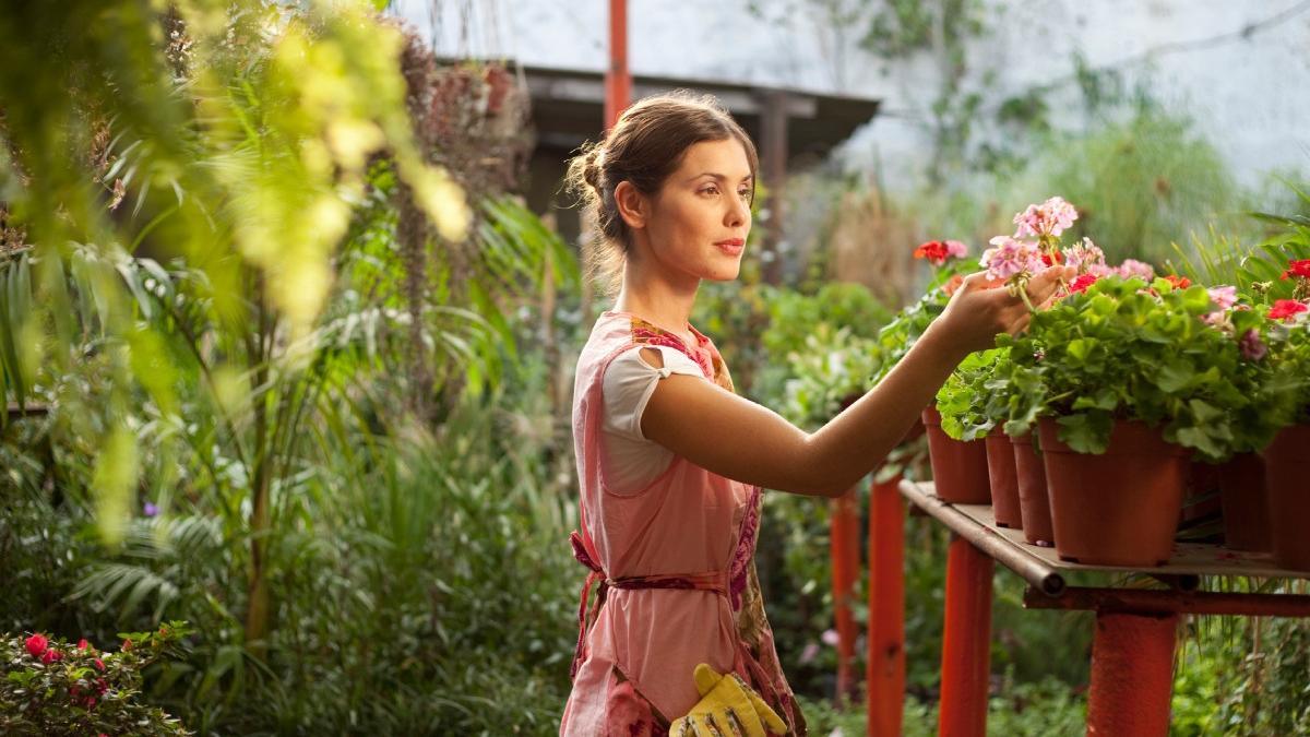 top flori de gradina parfumate romani primavara