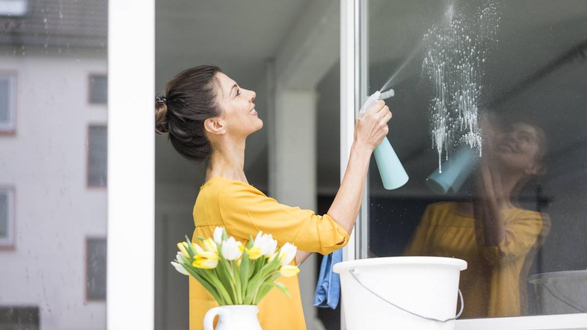 ingredient natural spalat geamuri