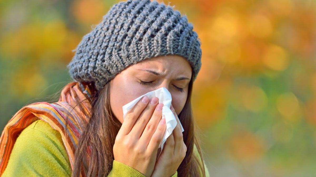 alerta medicala romania plante noi alergii severe alergolog conifere