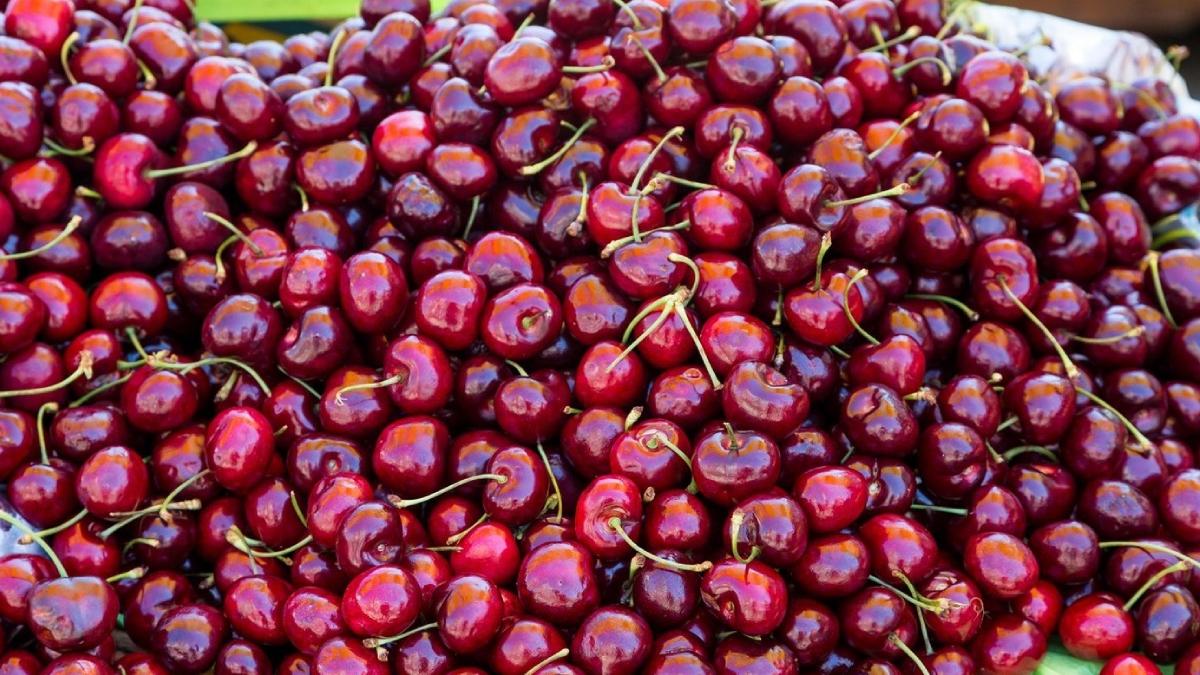 cat costa un kilogram cirese piete romania martie 2024