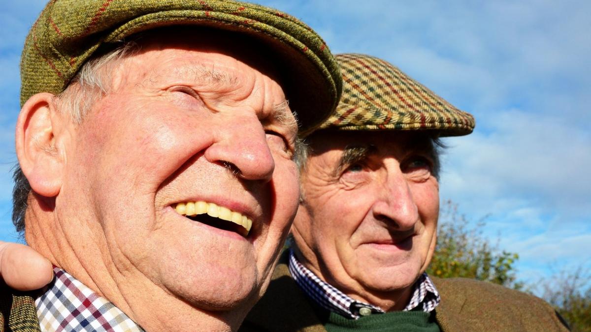 pensii romani germania bani ani de munca