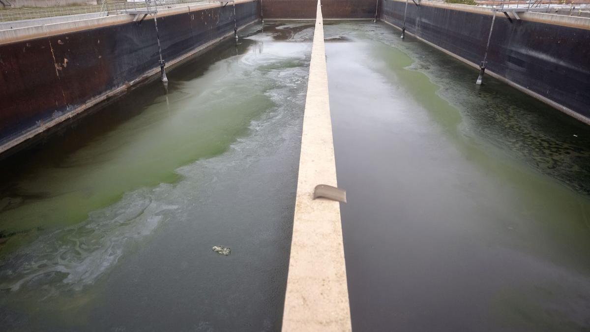 solutii localnici otopeni tunari cosmar miros balta pasarea