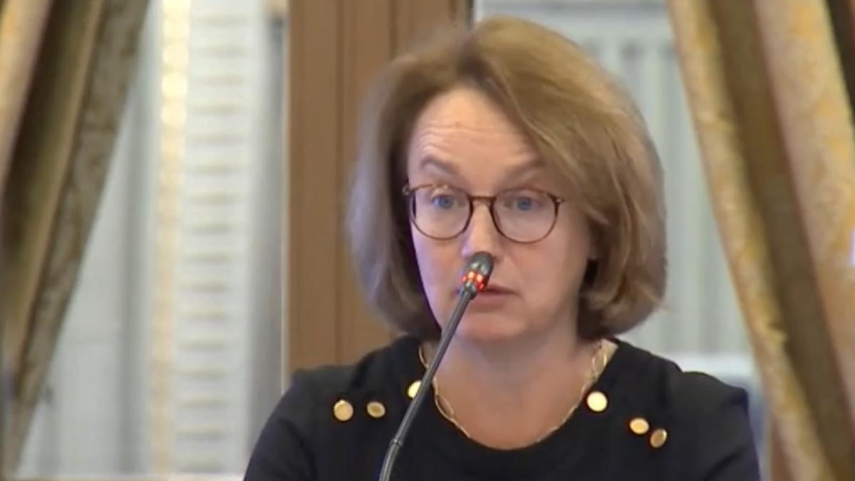 director pnrr romania cerere 3 jaloane