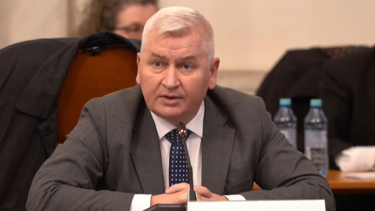 florin roman deputat pnl ampla problema debirocratizare