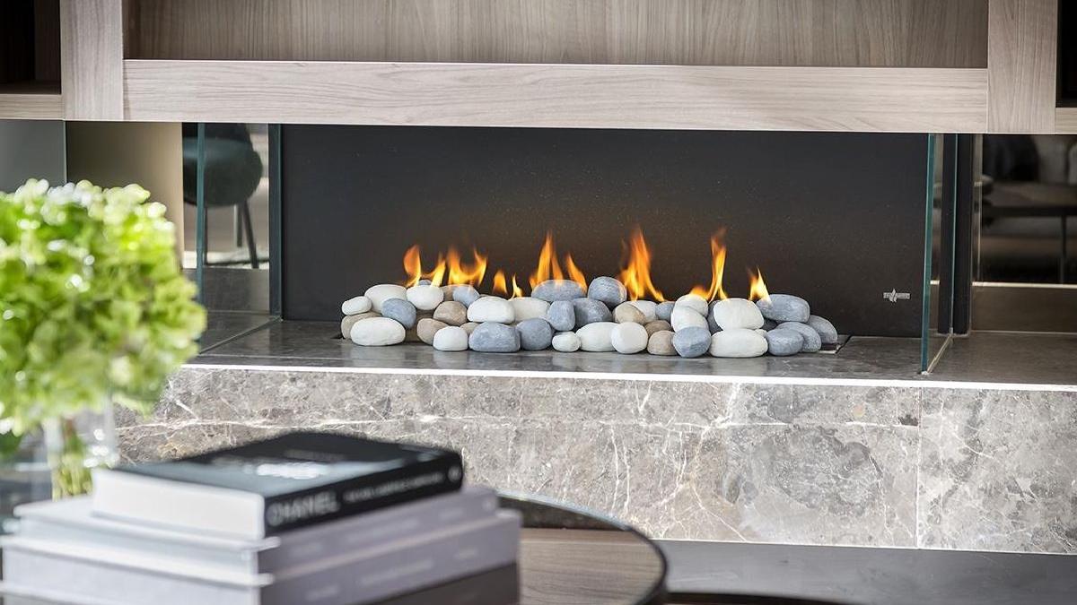 opinii si recenzii despre semineele cu bioetanol ce trebuie sa stii