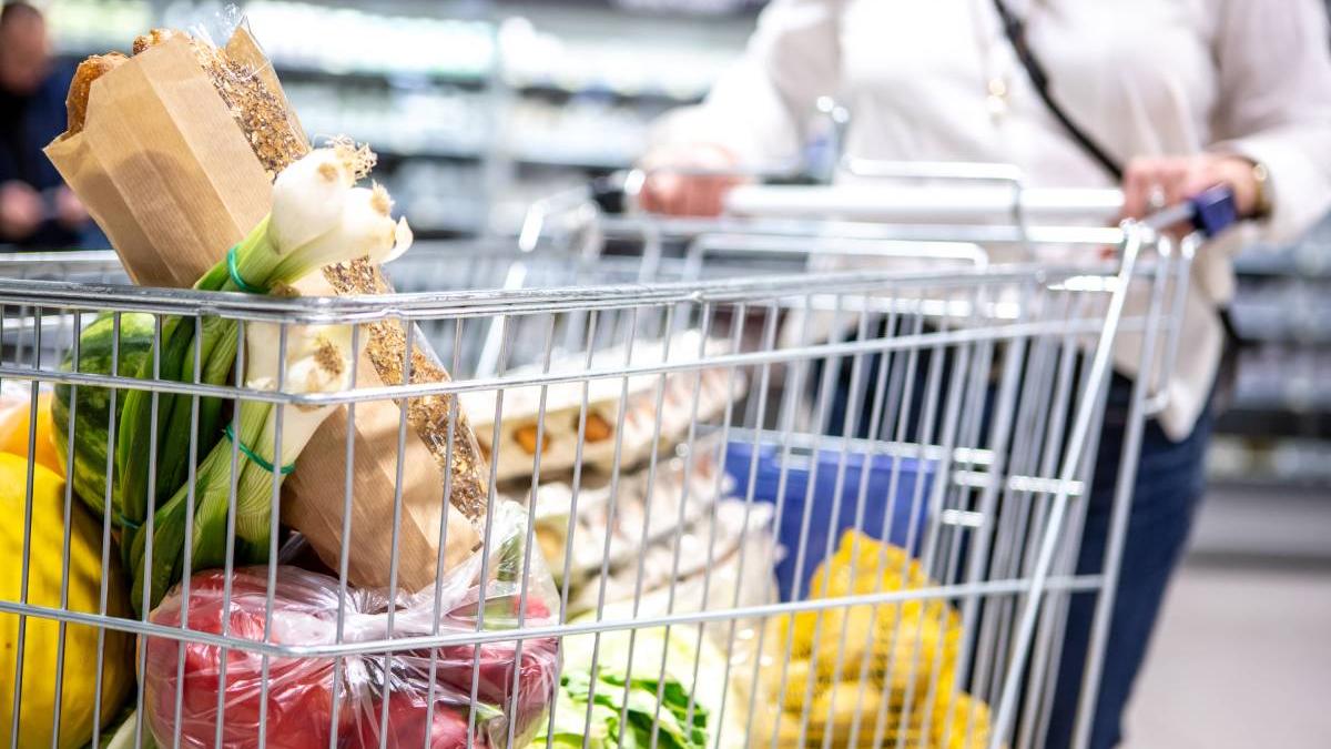 plafonare adaos comercial alimente baza prelungita