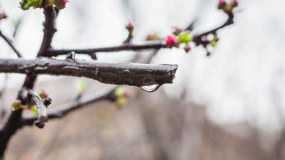 vreme romania anm temperatura