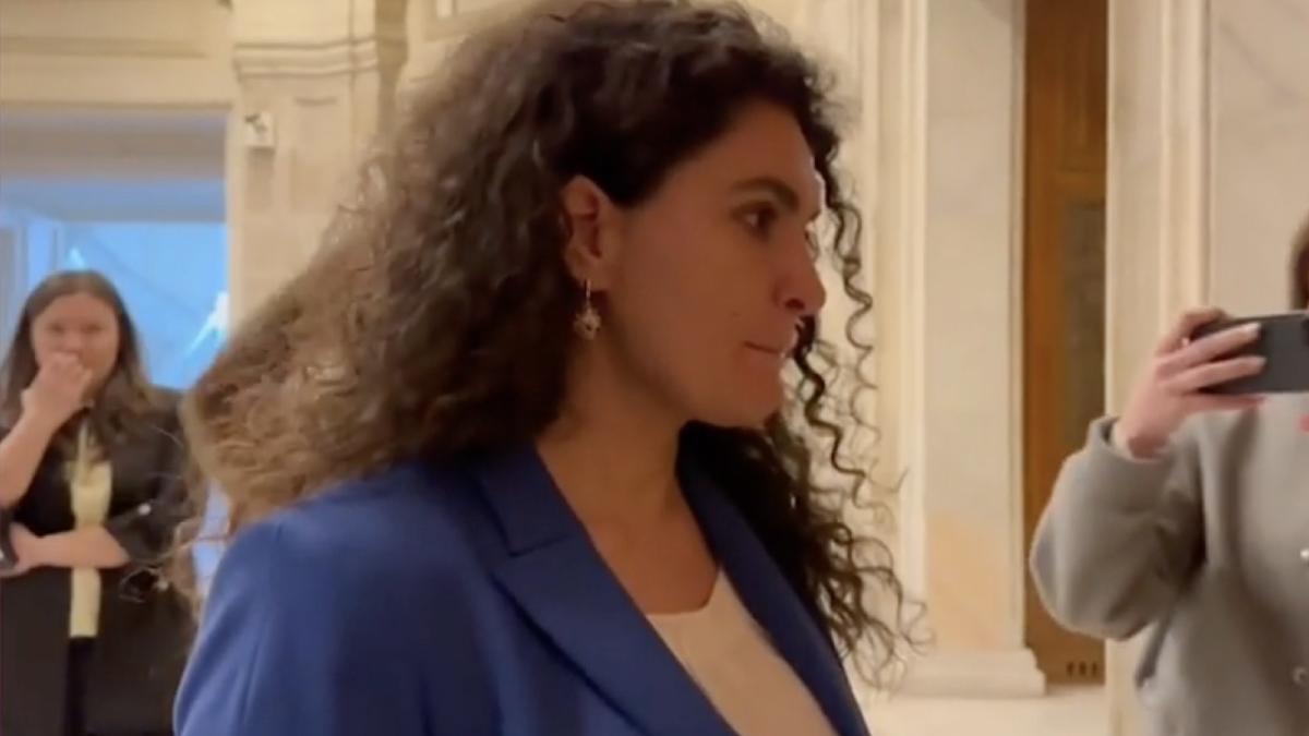 ramona chiriac s a retras cursa europarlamentare 2024 candidati psd pnl