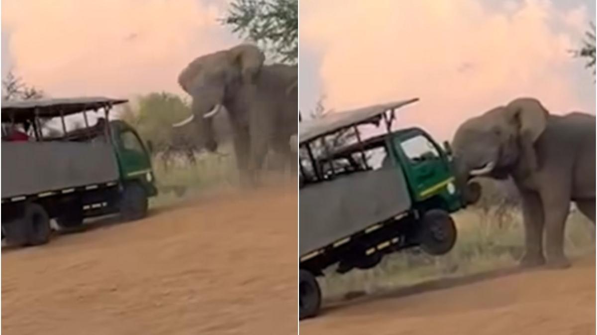 camion safari plin turisti atacat elefant furios africa sud
