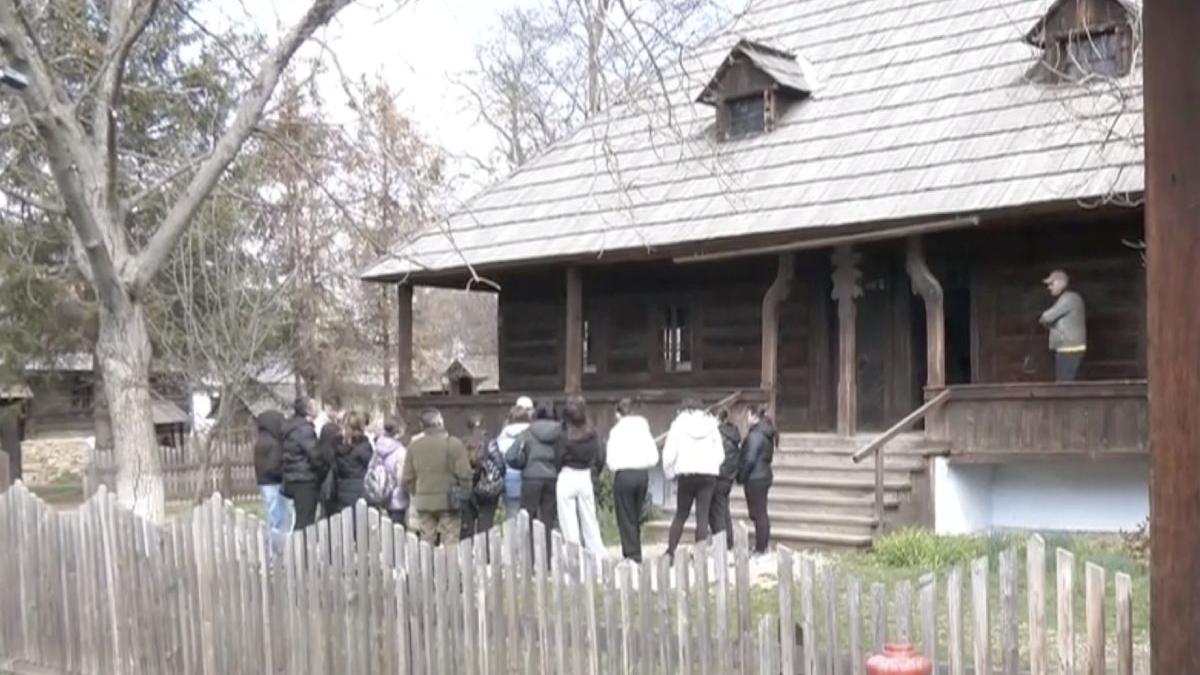 elevi olimpici alexandria ziua traditiilor obiective vizitate