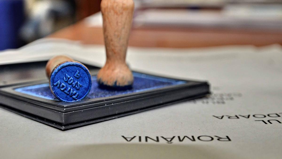 termen limita viza de flotant alegeri vot locale