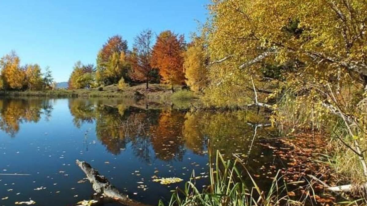 lacul misterios din romania format cutremur 1977 lacul foroja