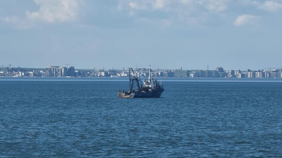 marinar furt motorina portul constanta