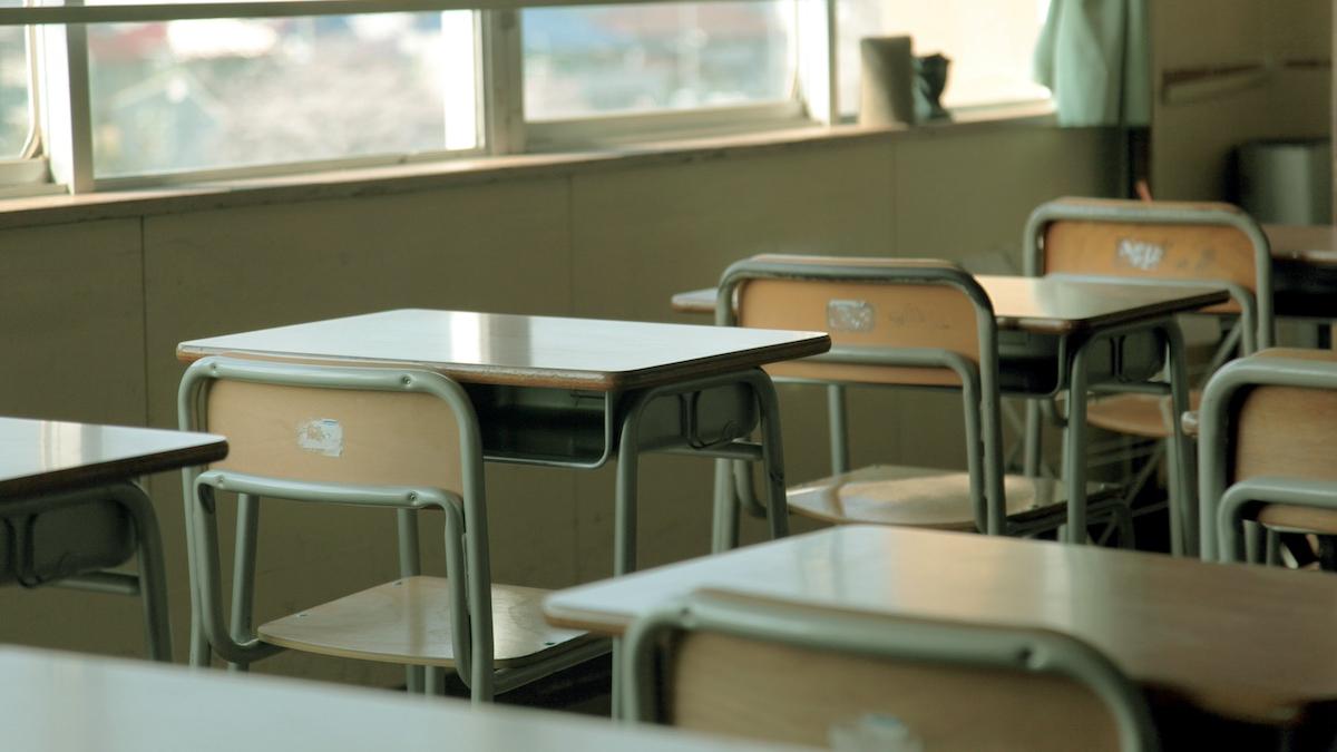 scoli sector 5 bucuresti inchise invazie plosnite