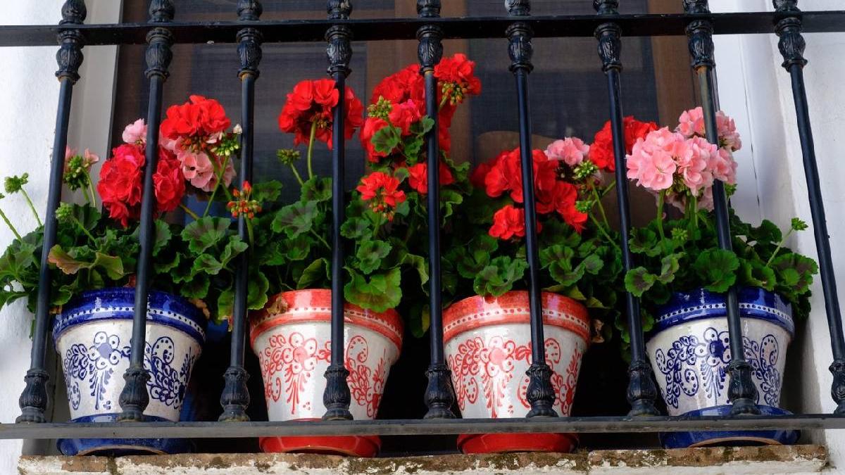 cand se scot muscatele afara greseala romance