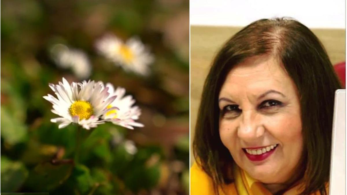 alerta meteo praf saharian romania caldura mare elena mateescu anm