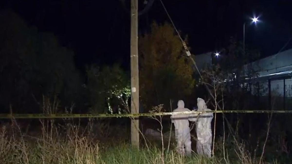 cadavru femeie putrefactie deal petrosani