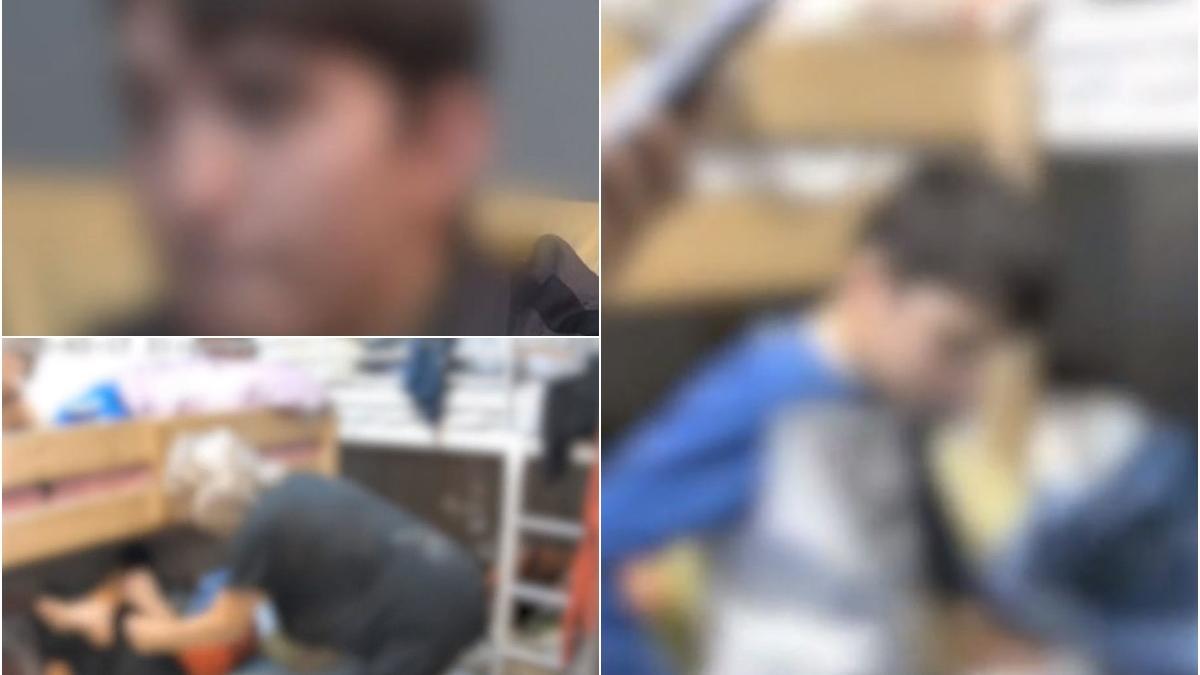 cinci frati galati torturati hraniti mancare pisici bunici