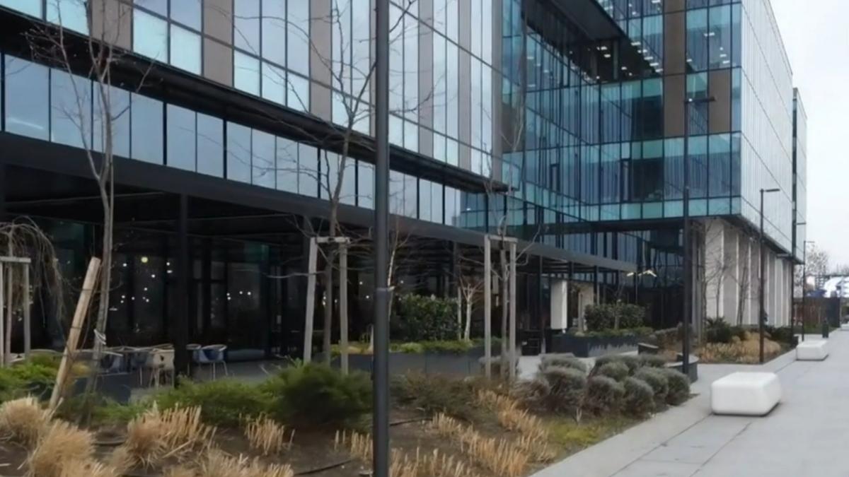 schimbari pe piata muncii la patru ani de la pandemie