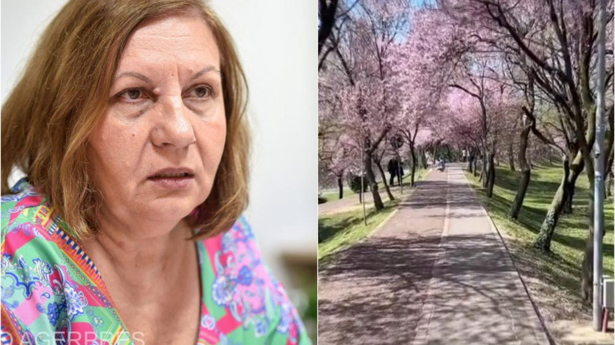 elena mateescu val aer tropical romania martie ultimii 70 ani