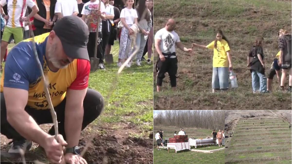 cornel dinicu reface ferma dacilor imagini emotionante copaci