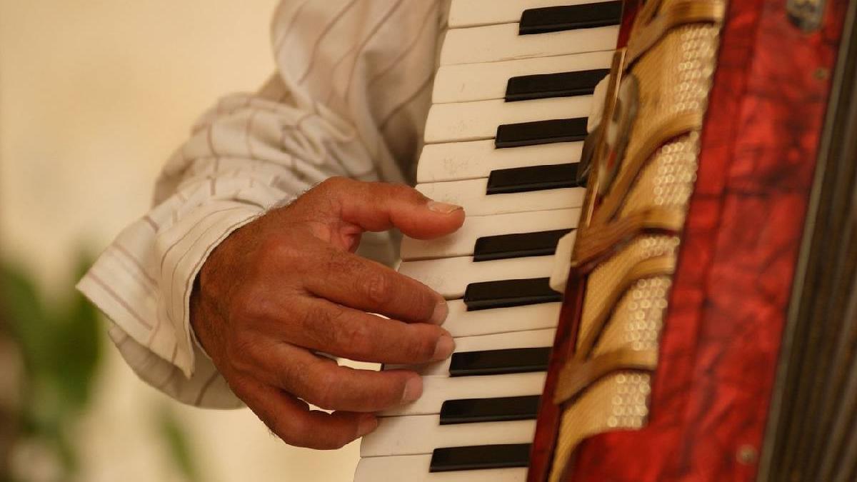 poveste fanel roman canta acordeon strazi italia