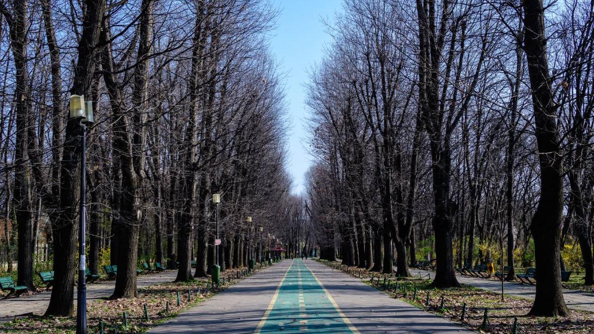 aprilie temperaturi vara bucuresti anm prognoza meteo