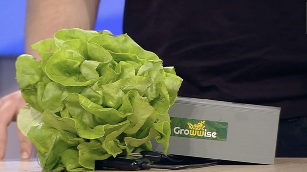 dispozitiv revolutionare agricultura promovat fundatie dan voiculescu