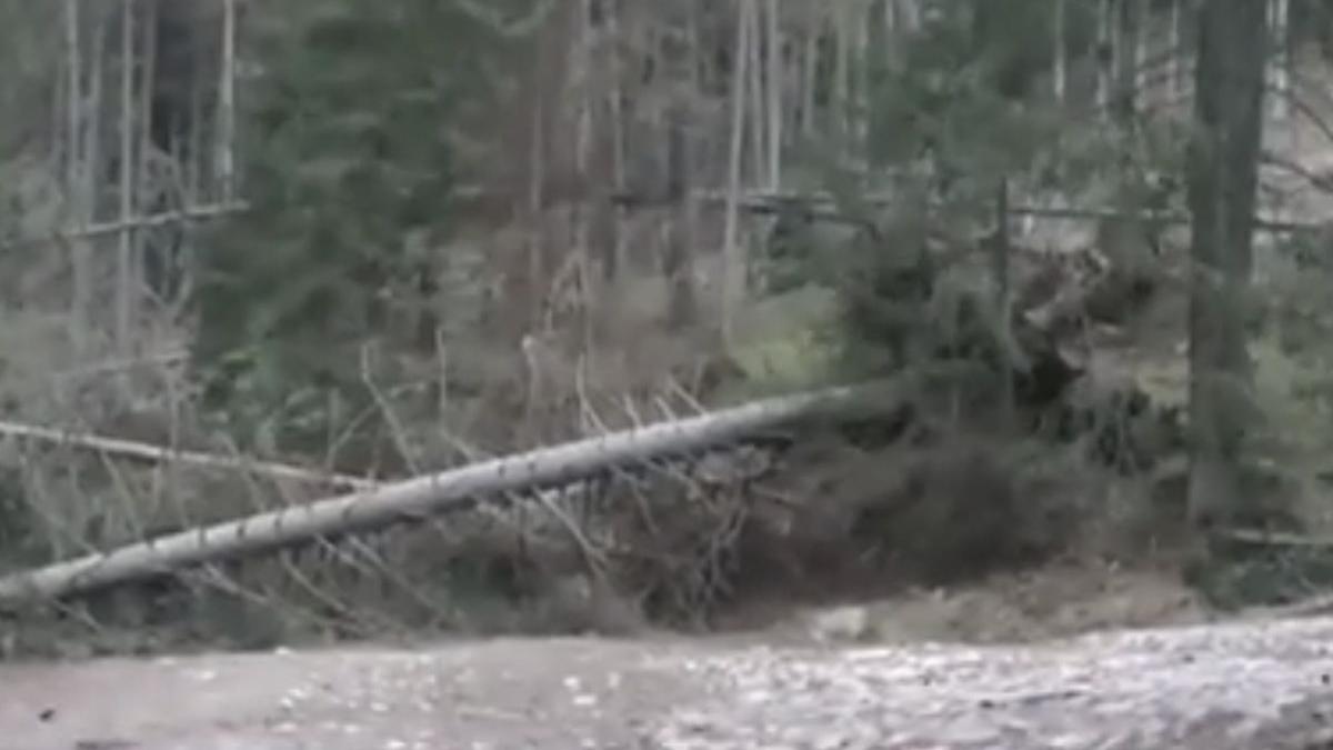 cinci oameni copii ucisi uragan 155 kilometri ora polonia