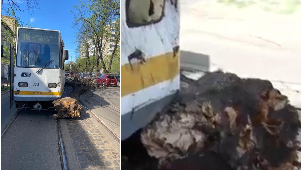 furtuna puternica bucuresti capaci doborati vant acoperisuri smulse alerta meteo