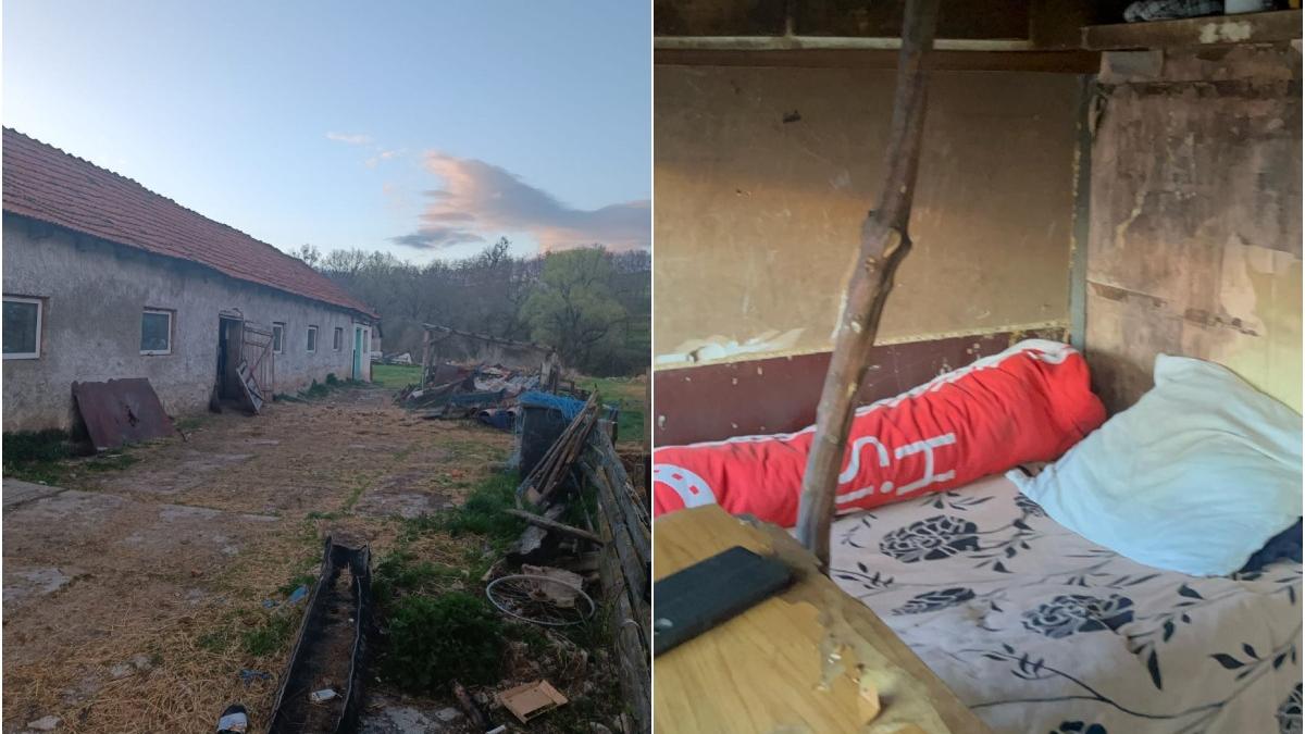 copil exploatat stana brasov inchis in cusca