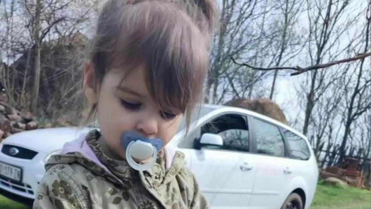 alexander vucic anunt danka ilic ucisa serbia