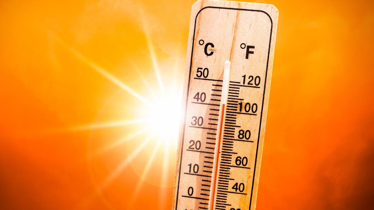 vestul europei canicula recorduri termice seceta pedologica romania