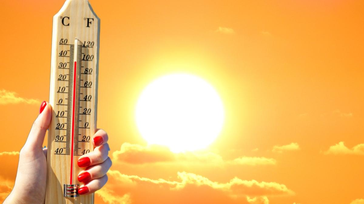 elena mateescu anm prognoza meteo temperaturi canicula vestrul europei