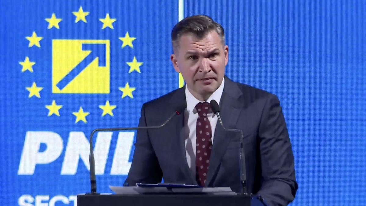 ionut stroe valori pnl sector 4