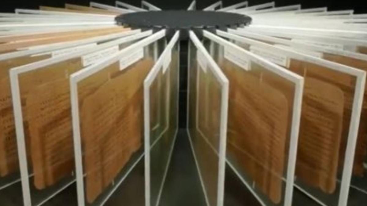 pretul vanzare licitatie lontra carte codice egipt