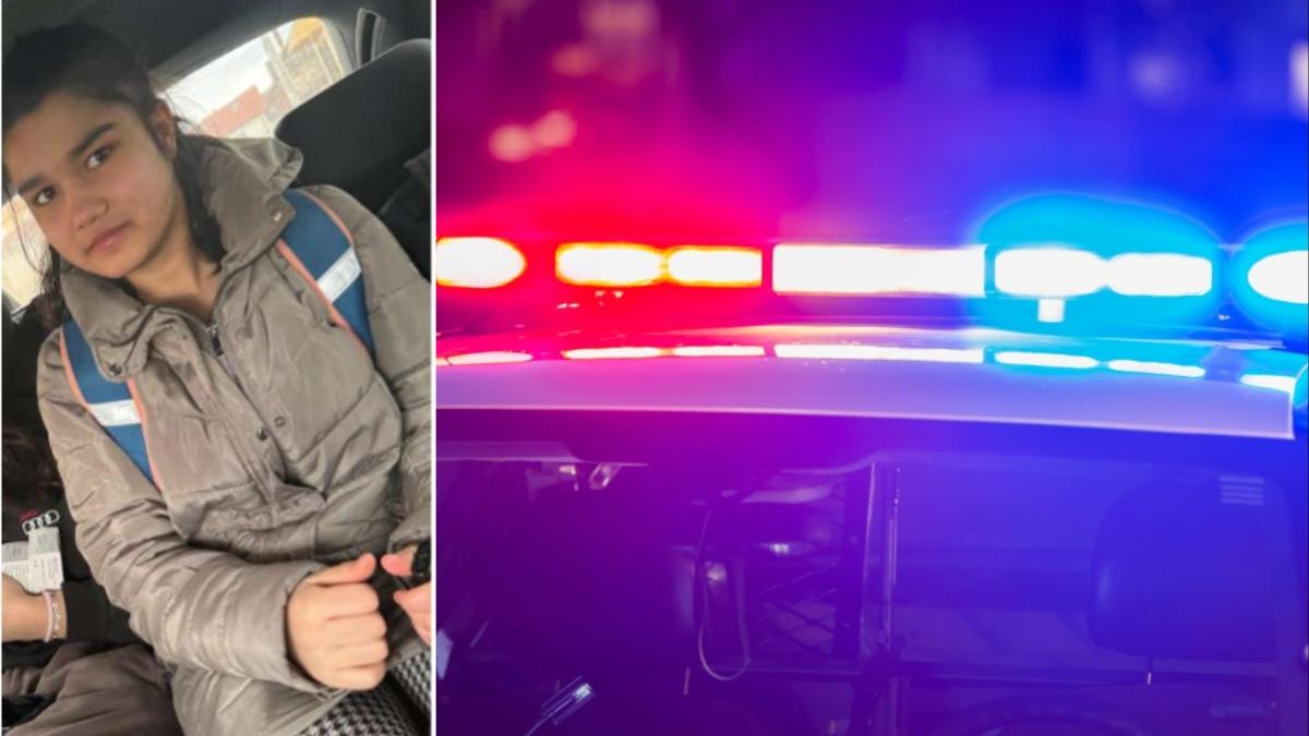 minora disparuta teius alba