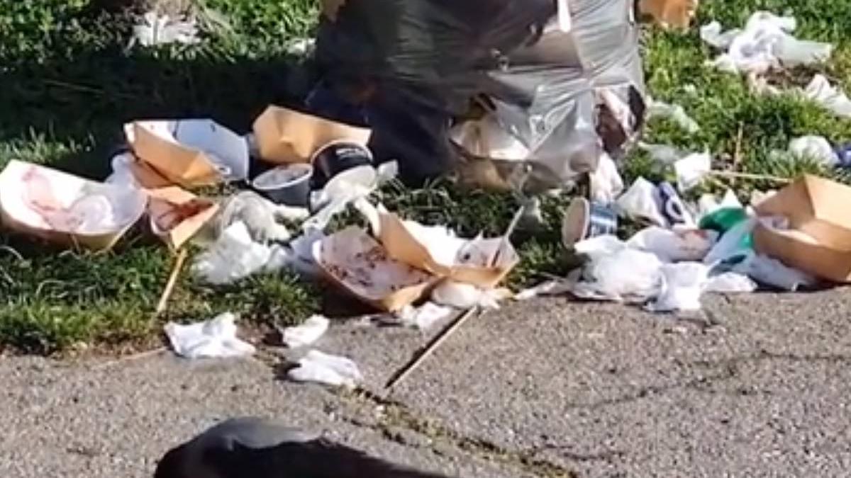 parcul herastrau bucuresti gunoaie ciori sobolani liviu negoita pusl nicusor dan zambeste