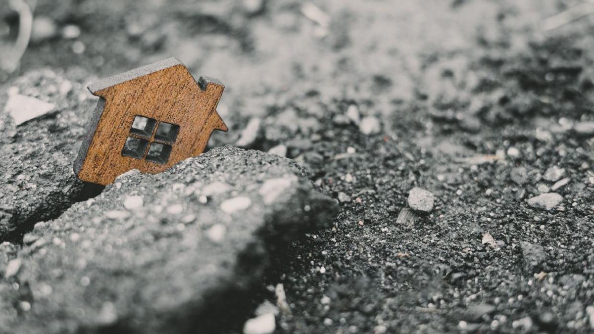 daune milioane euro platite gorj arad romani asigurare pad