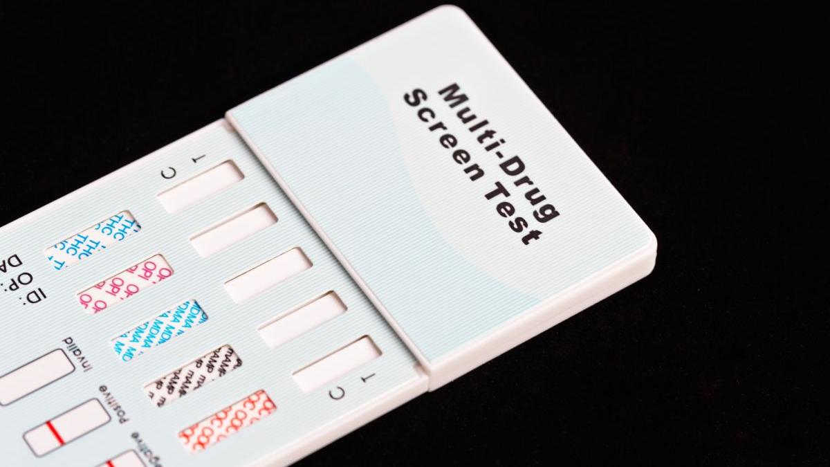 elevi bucuresti de acord testare antidrog scoli rezultate chestionar prefectura capitala