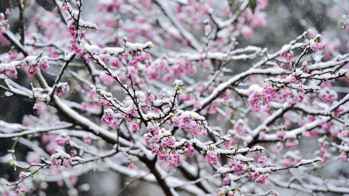 alina serban prognoza meteo vremea