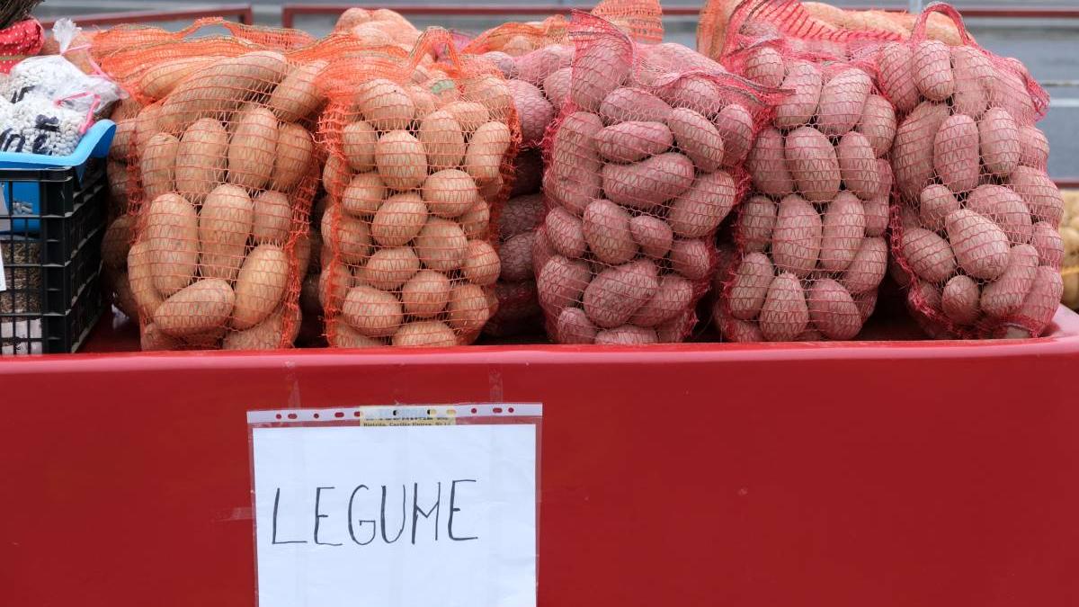 cartofi noi romanesti pret kilogram