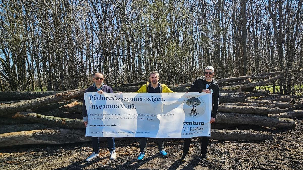 centura verde bucuresti ilfov amendamente noul cod silvic