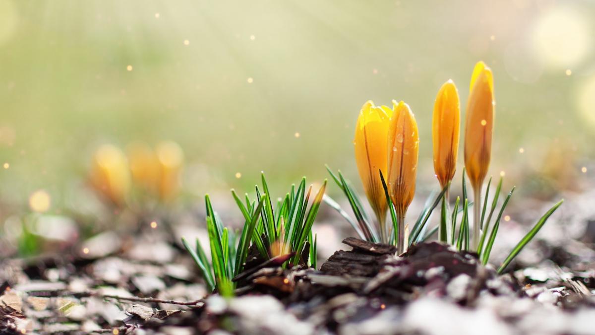 vremea se raceste frig ploi ninsori val aer rece ciclon