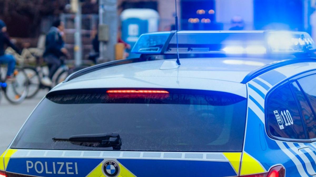 romani batut usi cerut munca germania politia intervenit