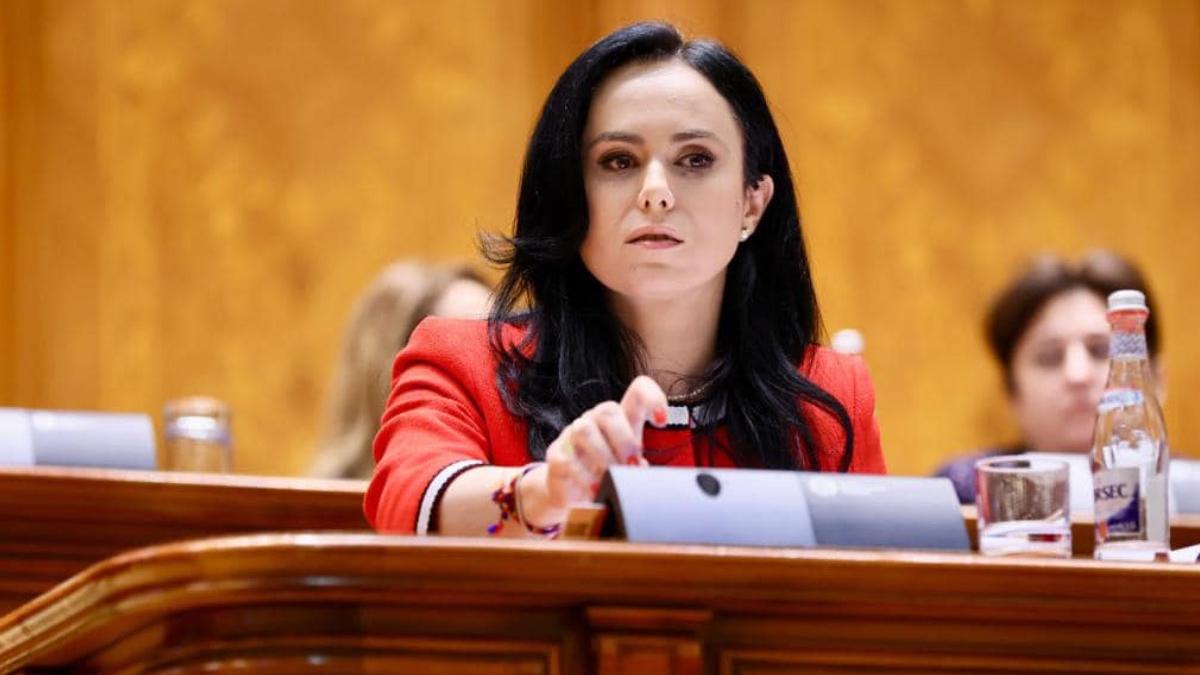 simona bucura oprescu lege sistem asistenta sociala