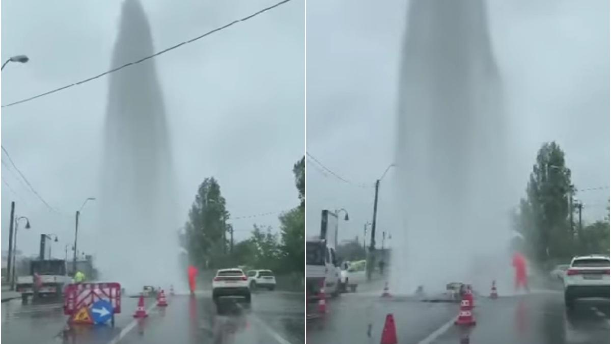 aviarie apa sosea iasi